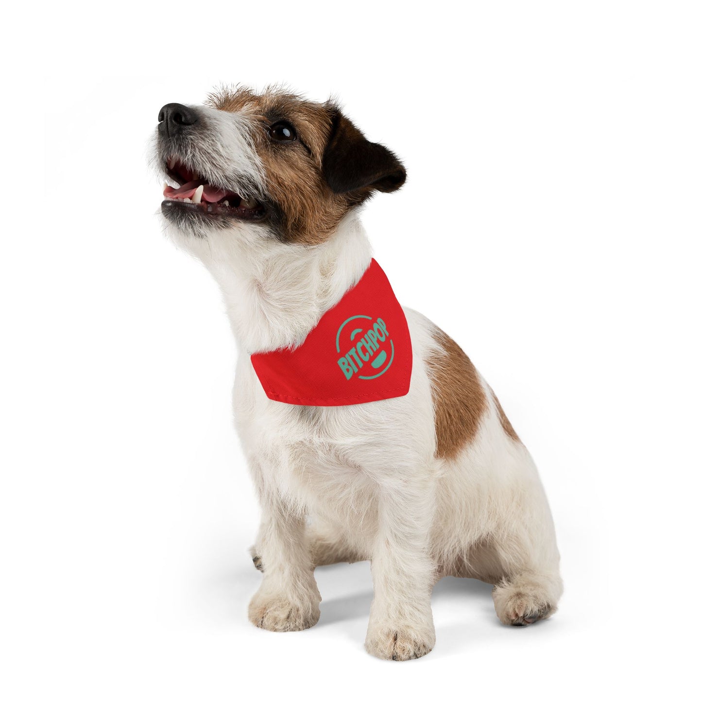 Bitchpop Pet Bandana Collar